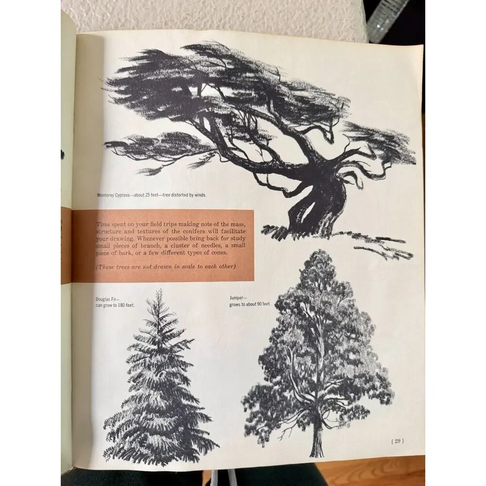 1966 The Art of Drawing Trees Grumbacher Library Vintage Art Book B-370